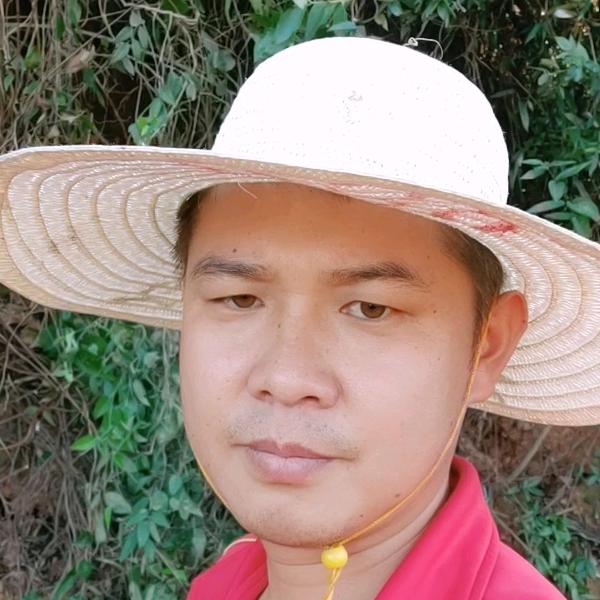 新平费贾王正勇家庭农场