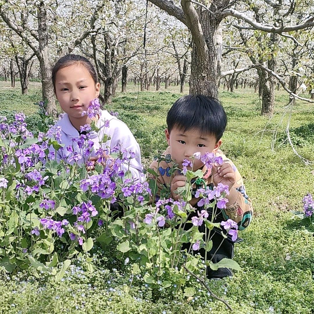 陈心如意🍒🍒