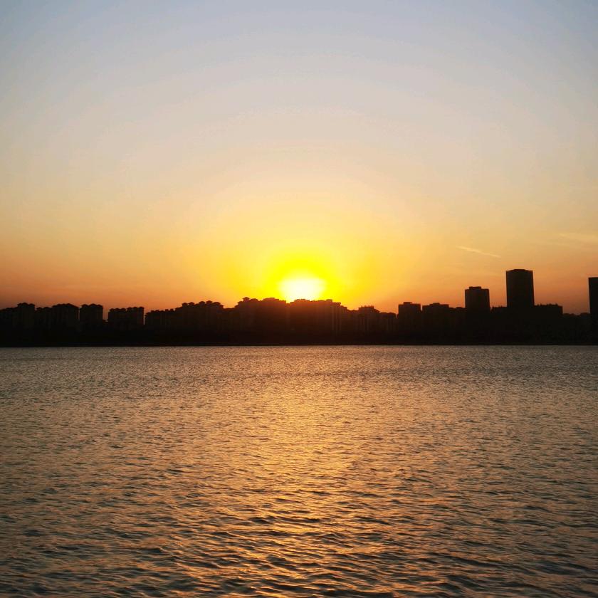 为了明天