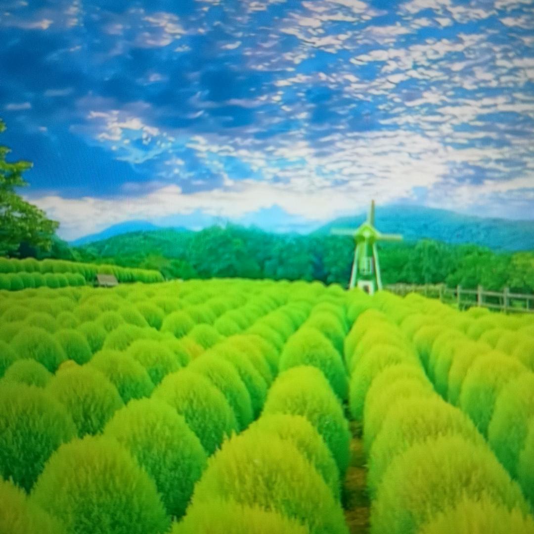 开心平安