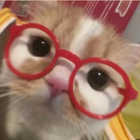 小丁真