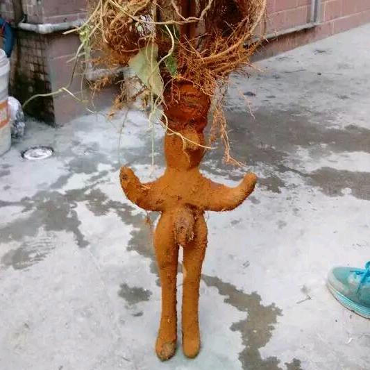 学做早餐的小白