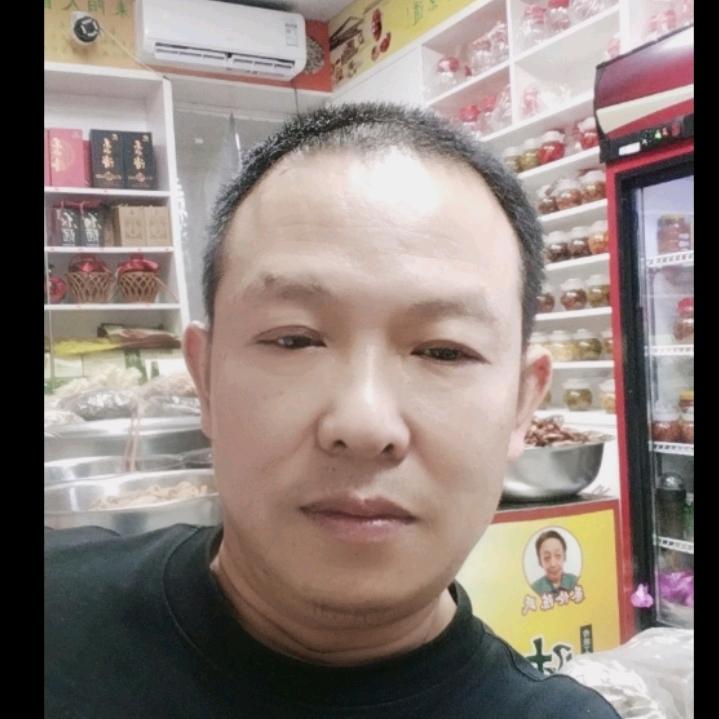 鼠目