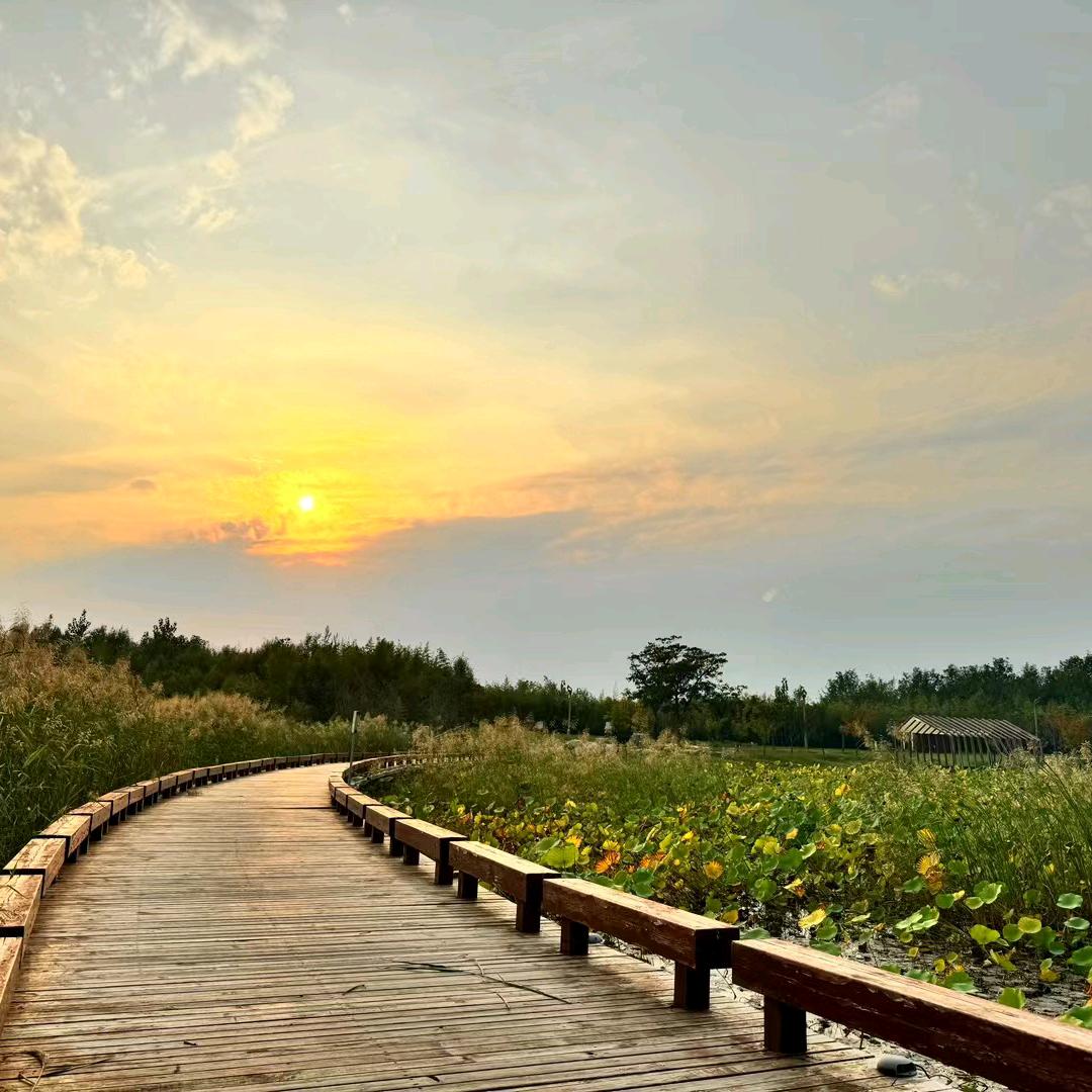 农村三妞（燕子）