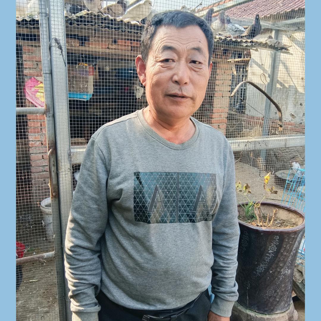 大沟单宝宗/专业养鸽子