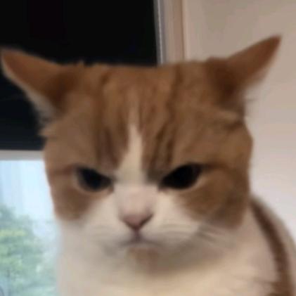 短衬衫