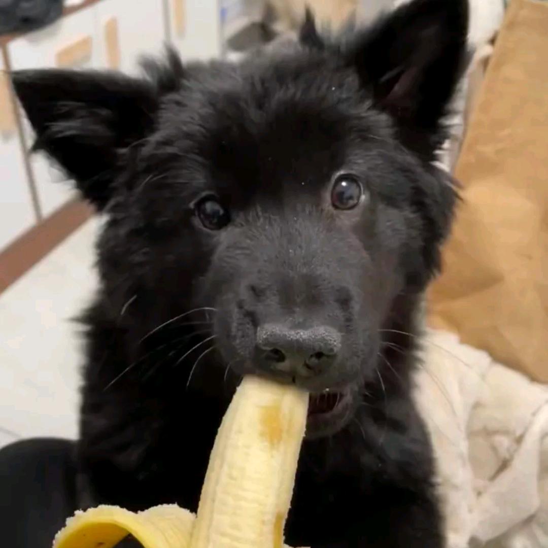 某某（素质ok版）