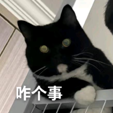 开源Yoobo