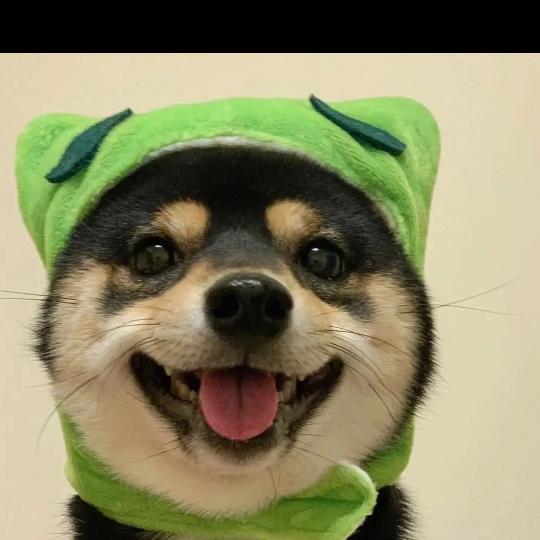 长腿小萝卜