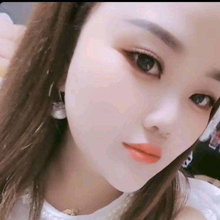 单身燕子