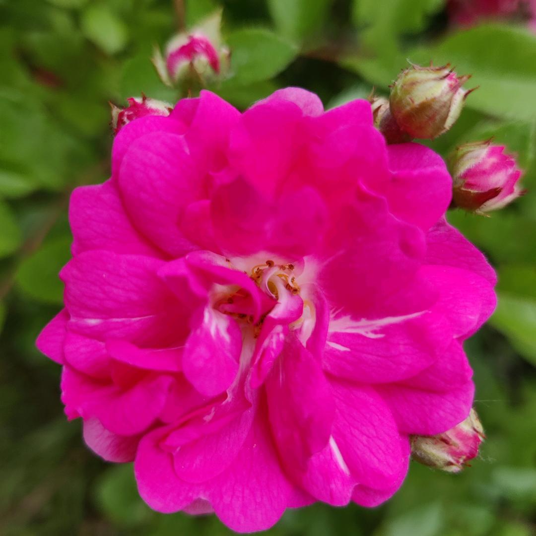 新甲手足护理中心TK