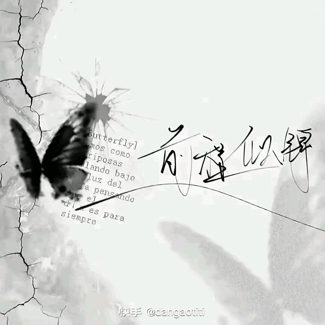 奥利奥户外直播