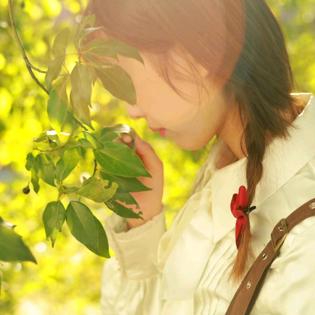 小梨茶叶甄选店