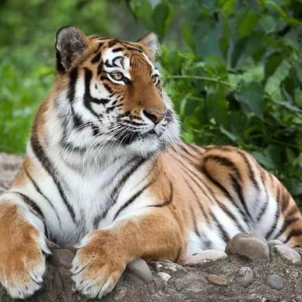 这个社会病了！