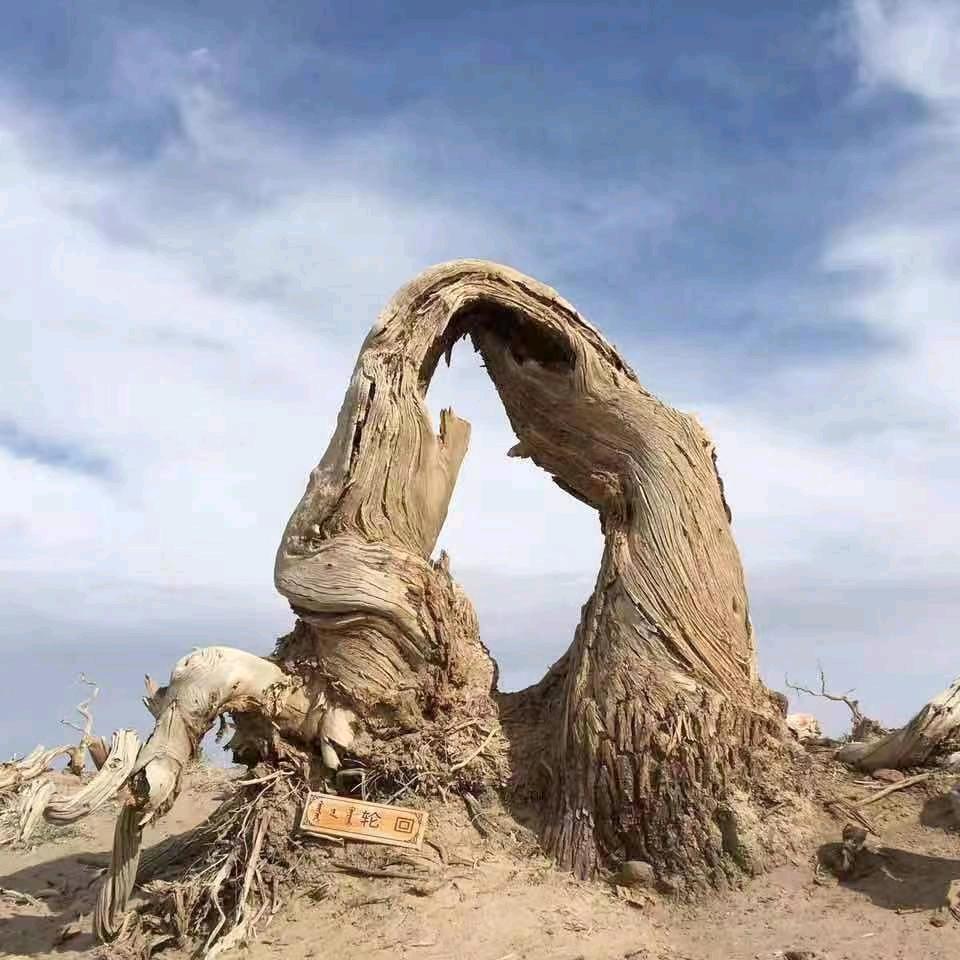 恋人是你
