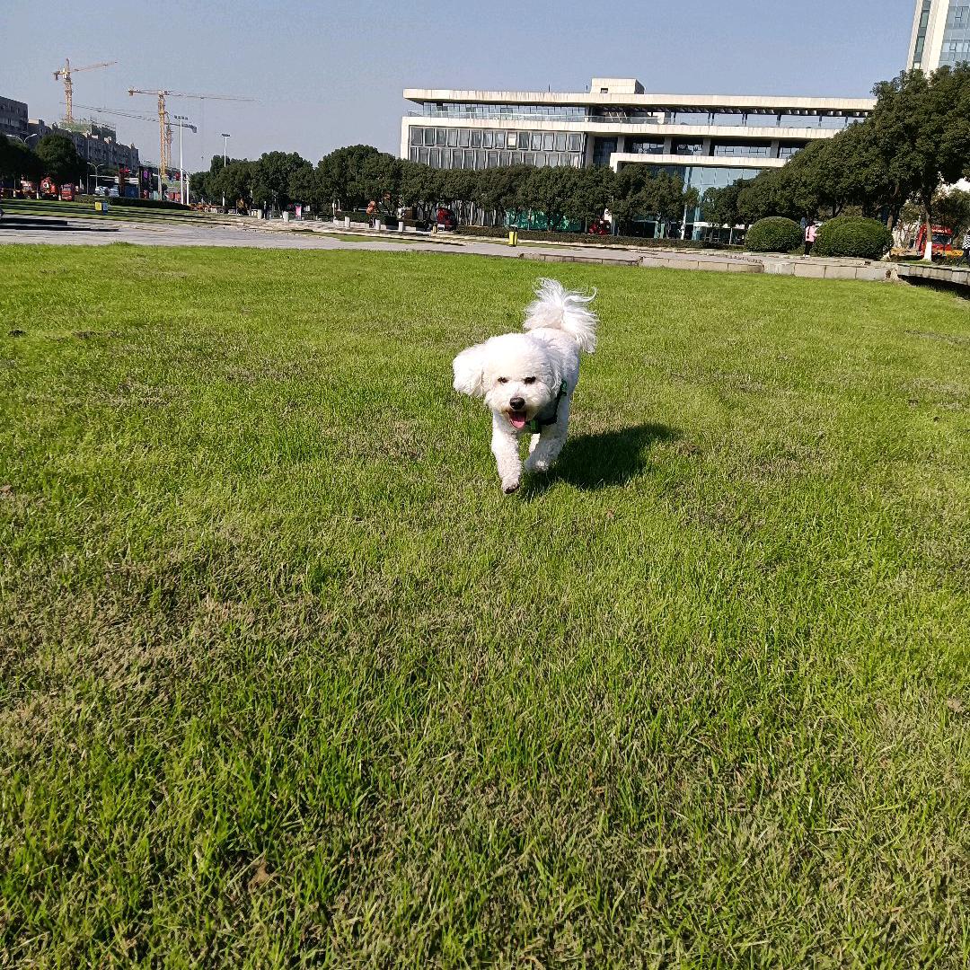 “蟹”谢你的爱