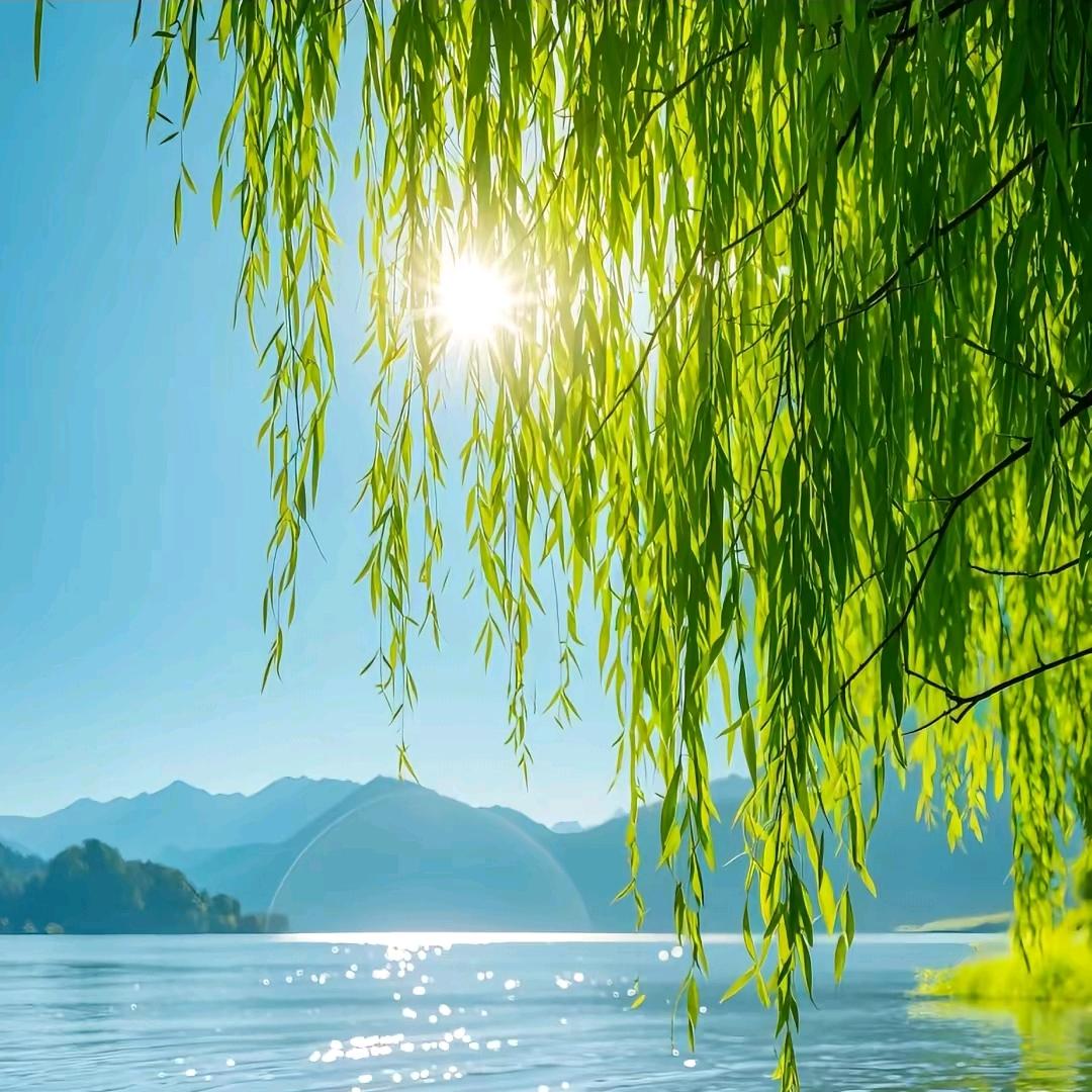 杨眉吐气