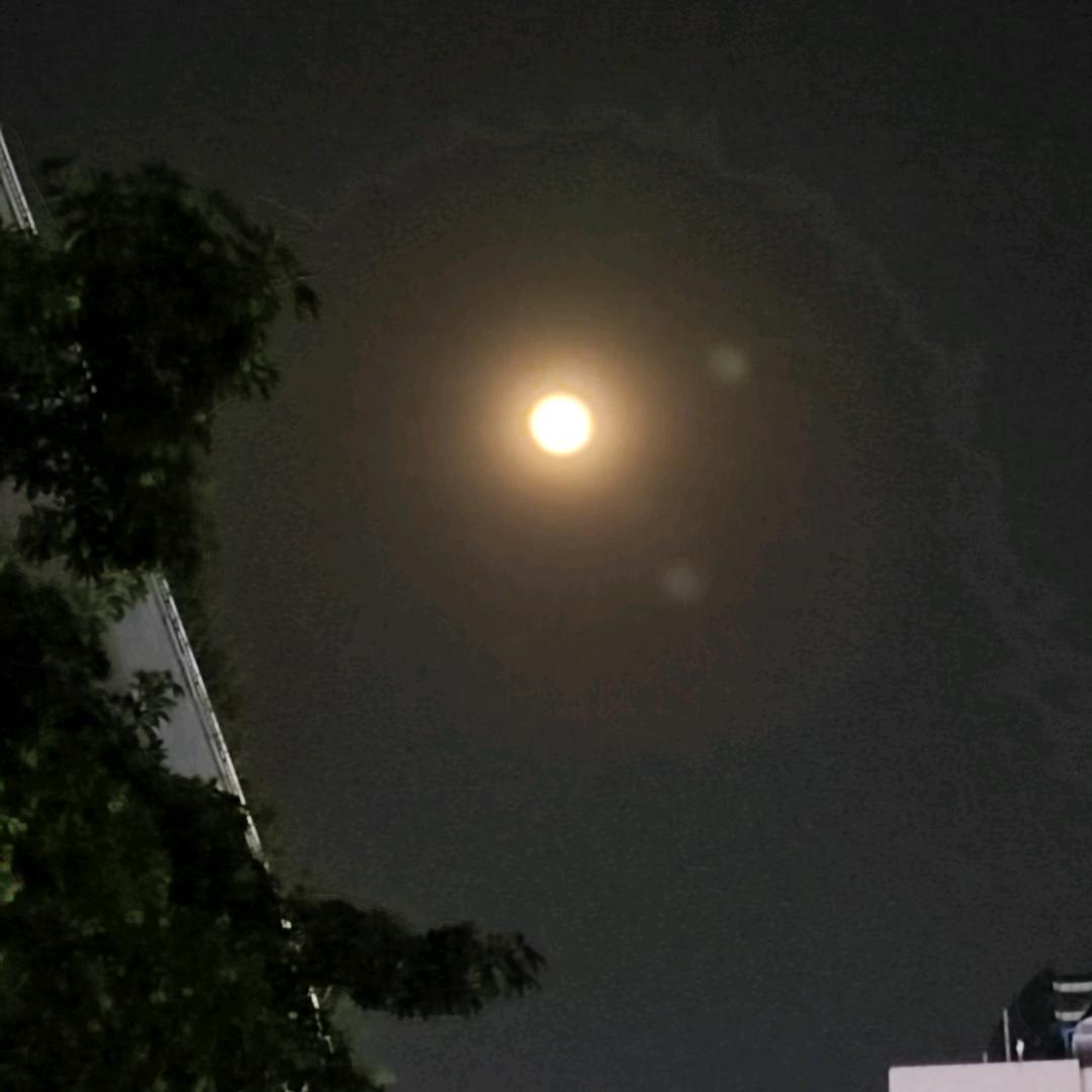 ୧( ⁼̴̶̤̀ω⁼̴̶̤́ )૭