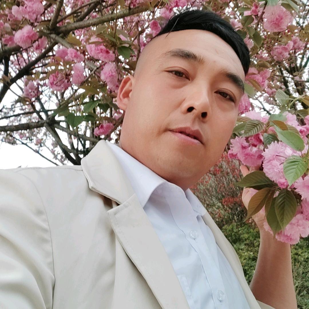 我需要一个真心的人。