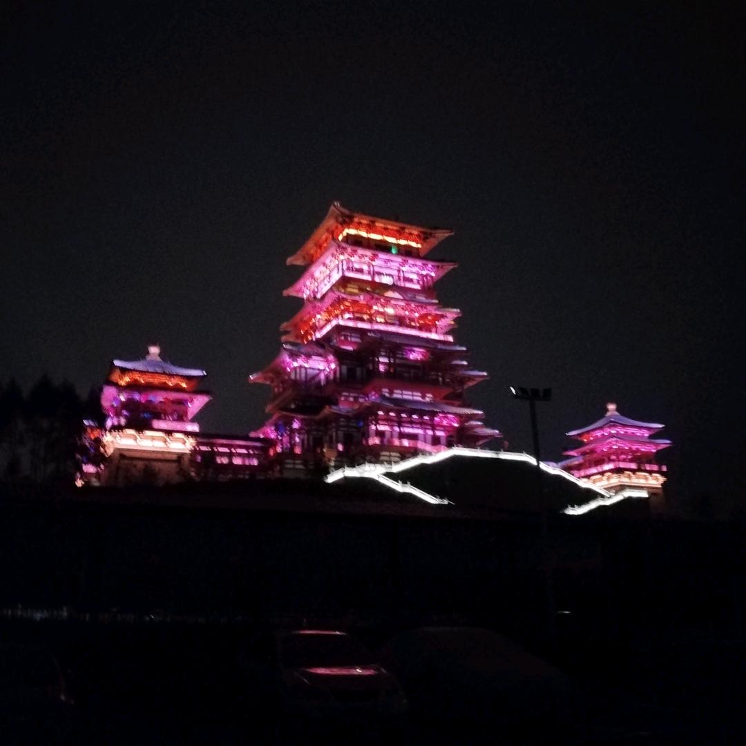 珍珍珍珍