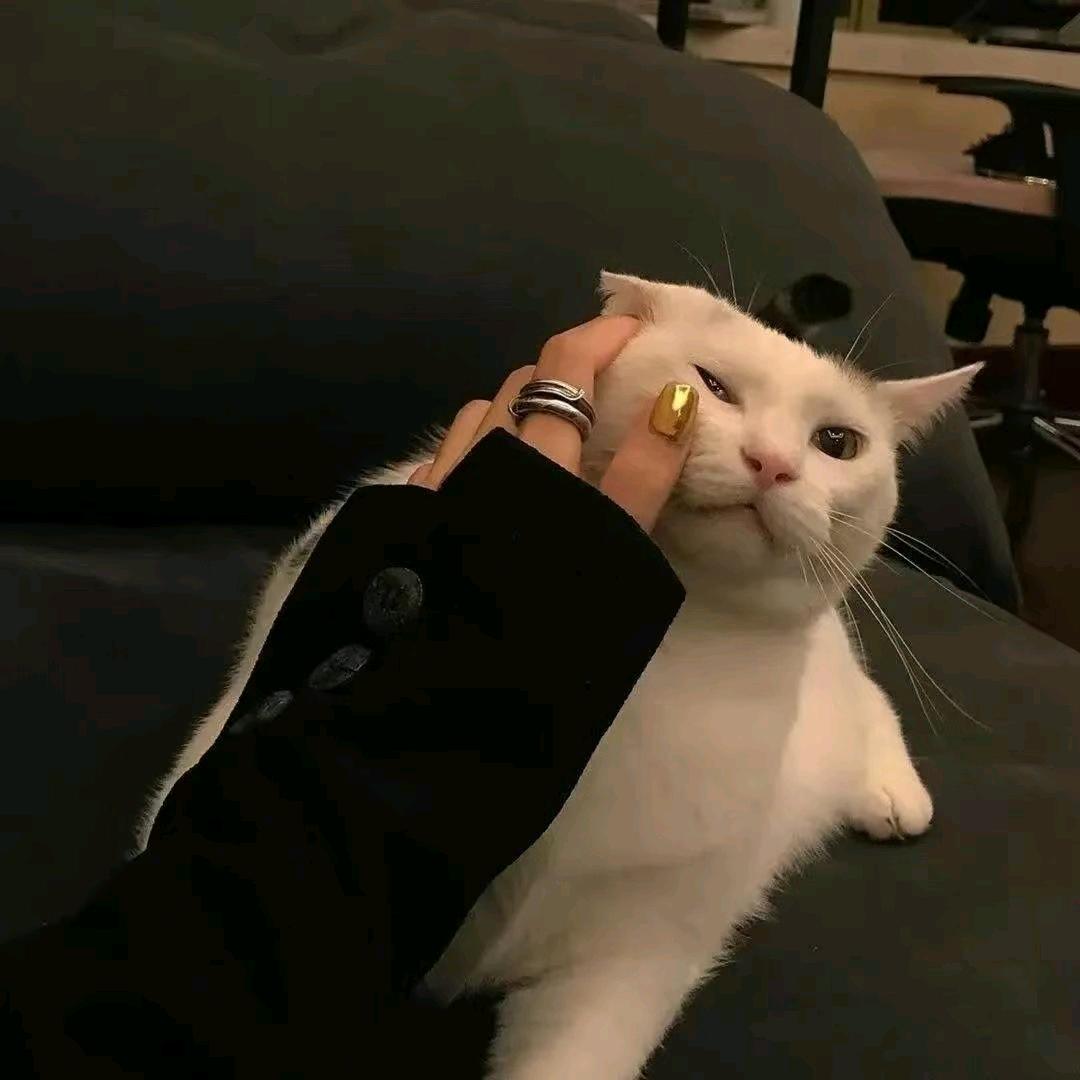 麻辣豆腐脑