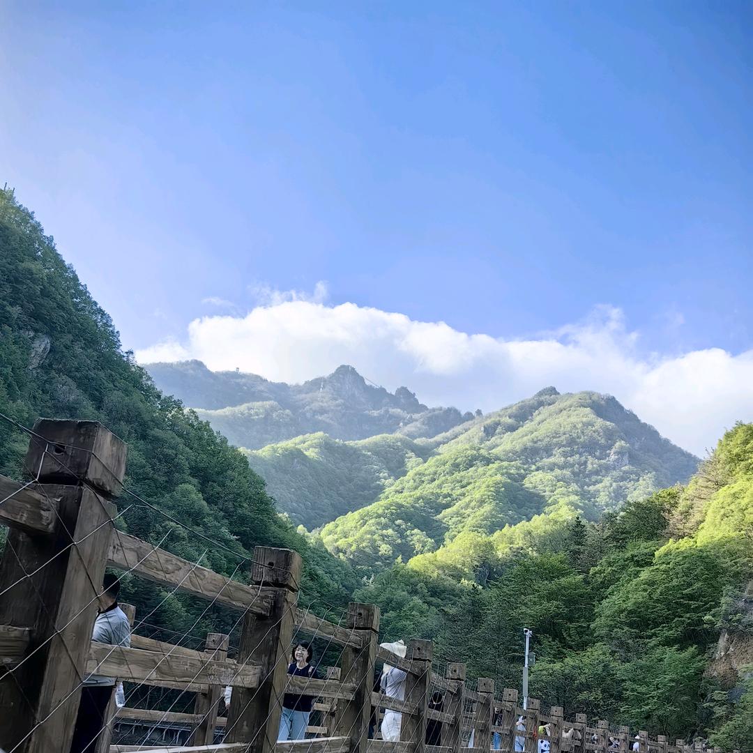 悦己🤟🤟