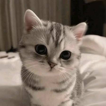 倩子💗💗