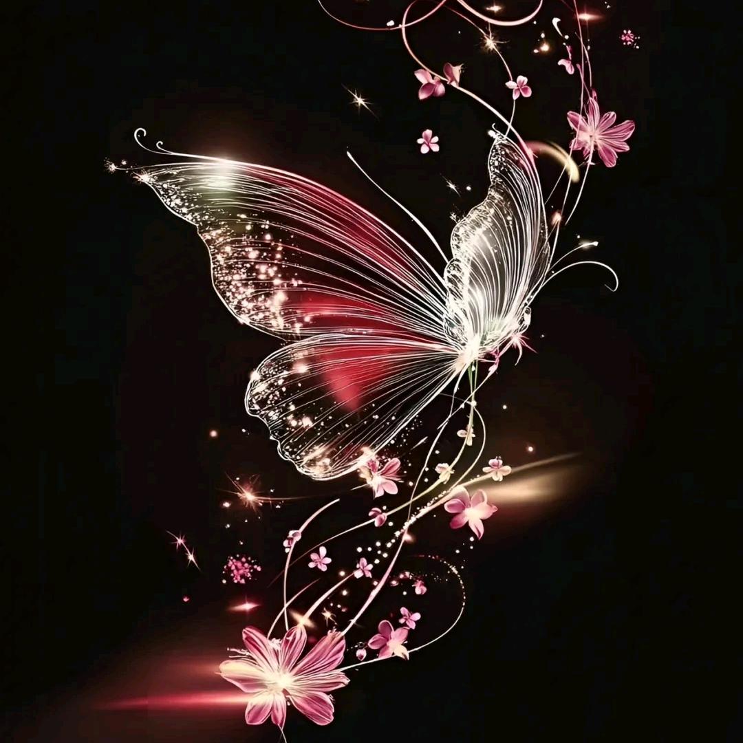 ꧁꫞函💞幽暗夜꫞꧂