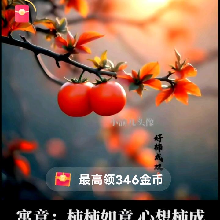 夕阳红