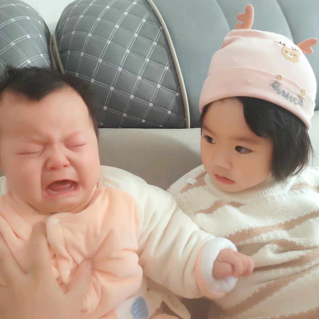 大牛和小牛的成长记录