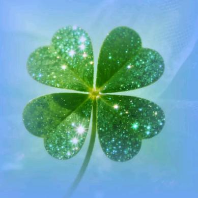 小锦李🐟🐟🐟