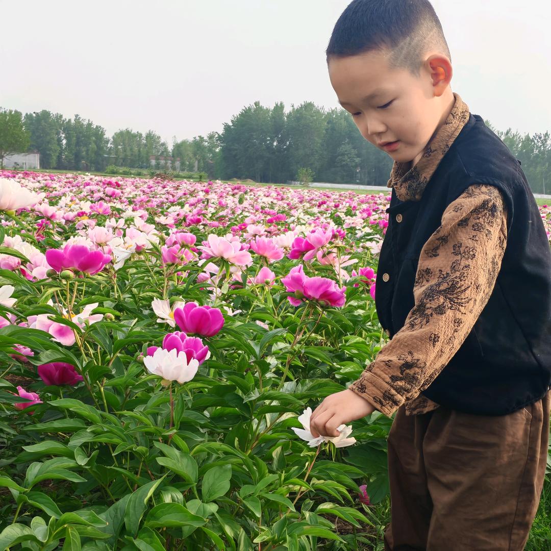 盼盼老师吖🍀