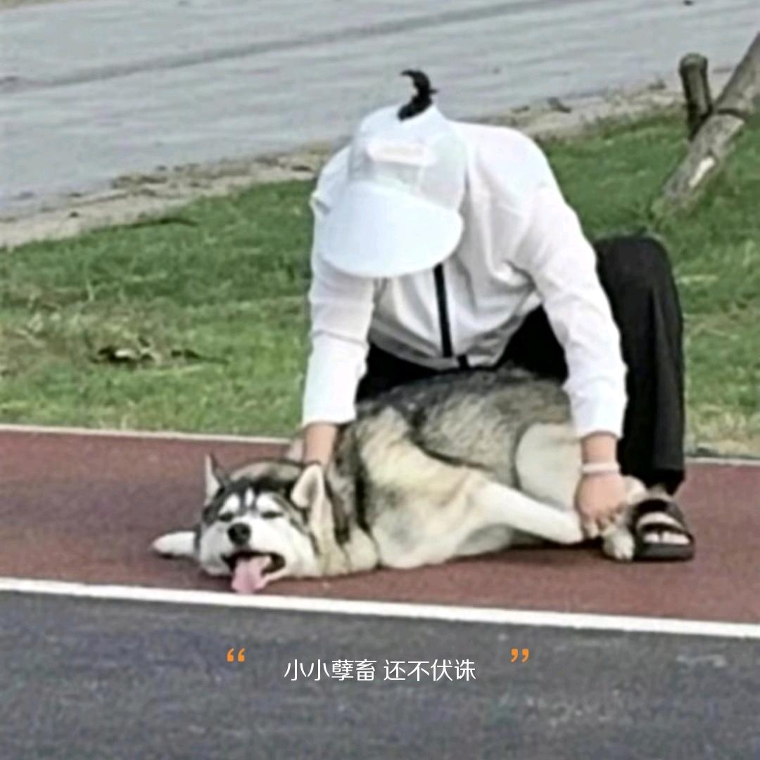 咸愚