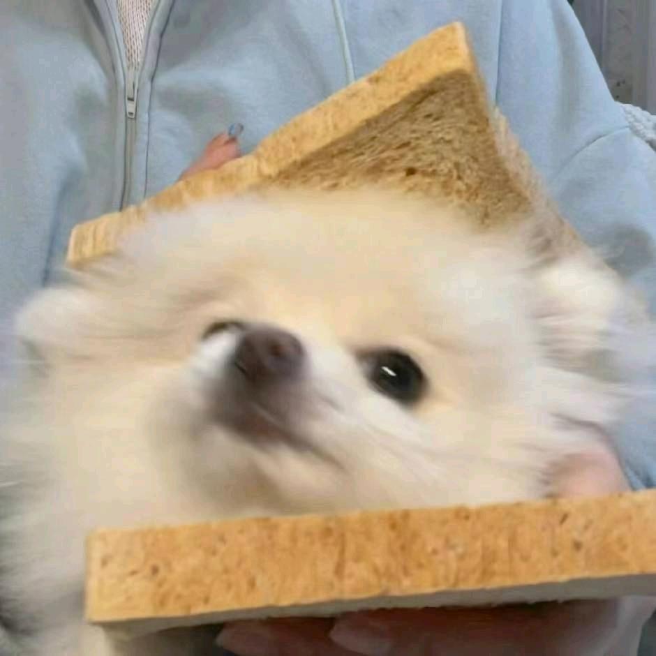 九叶