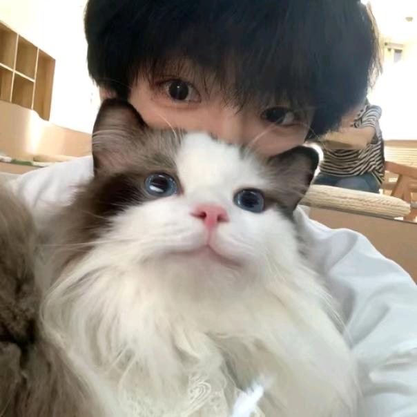 小小卡莎