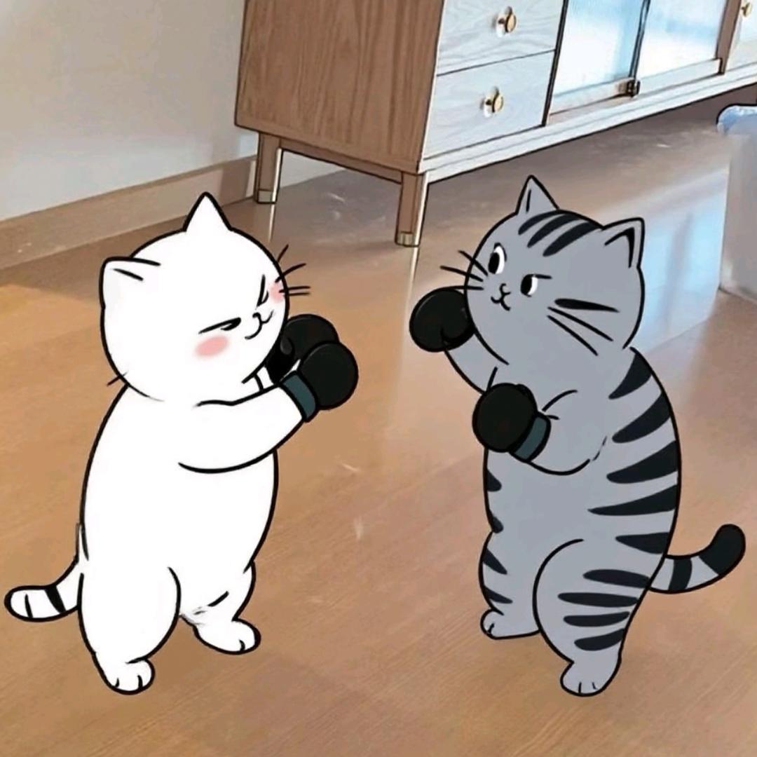 阿土哥