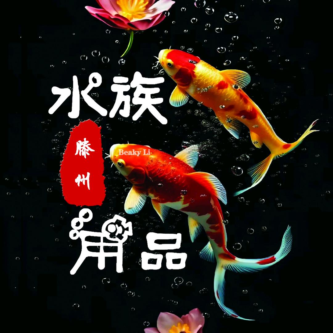 滕州奇哥说水族