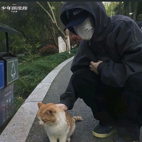 扛搂硬汉  24小时在线接单
