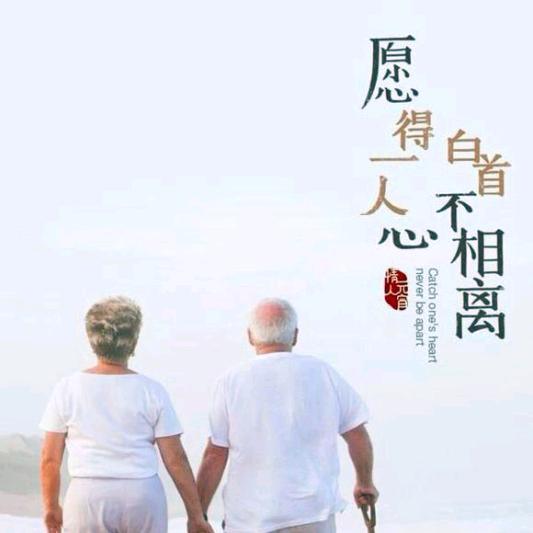 与你同行