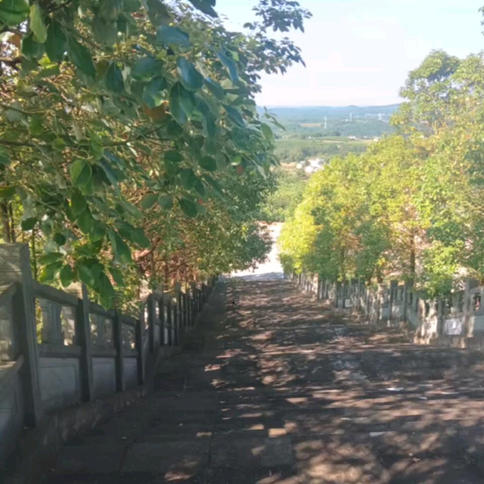 陌兮