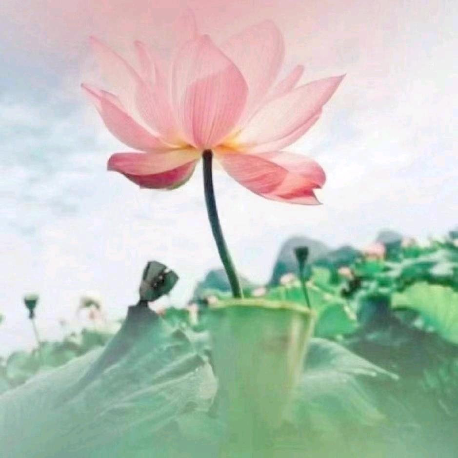 芸