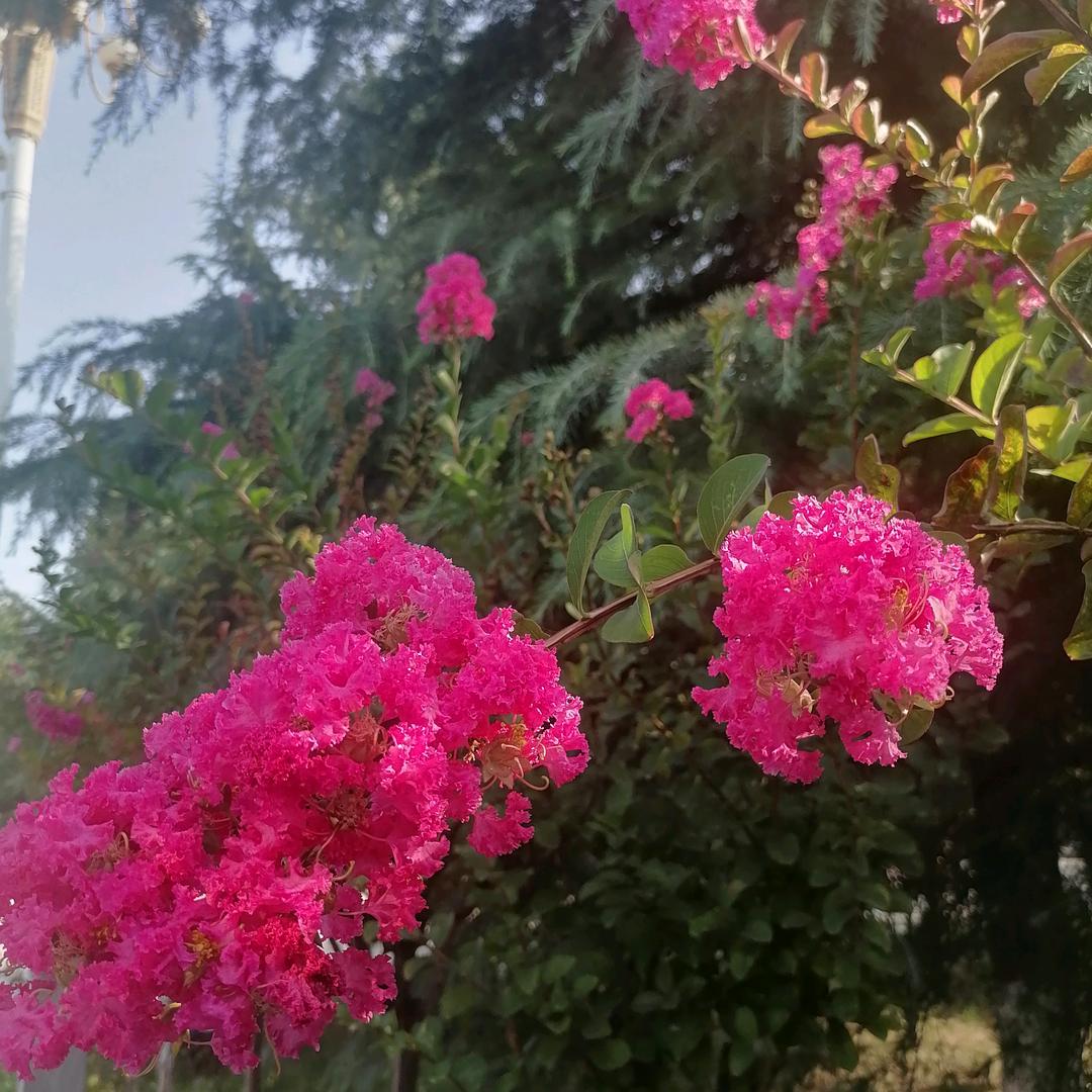 在造辉煌