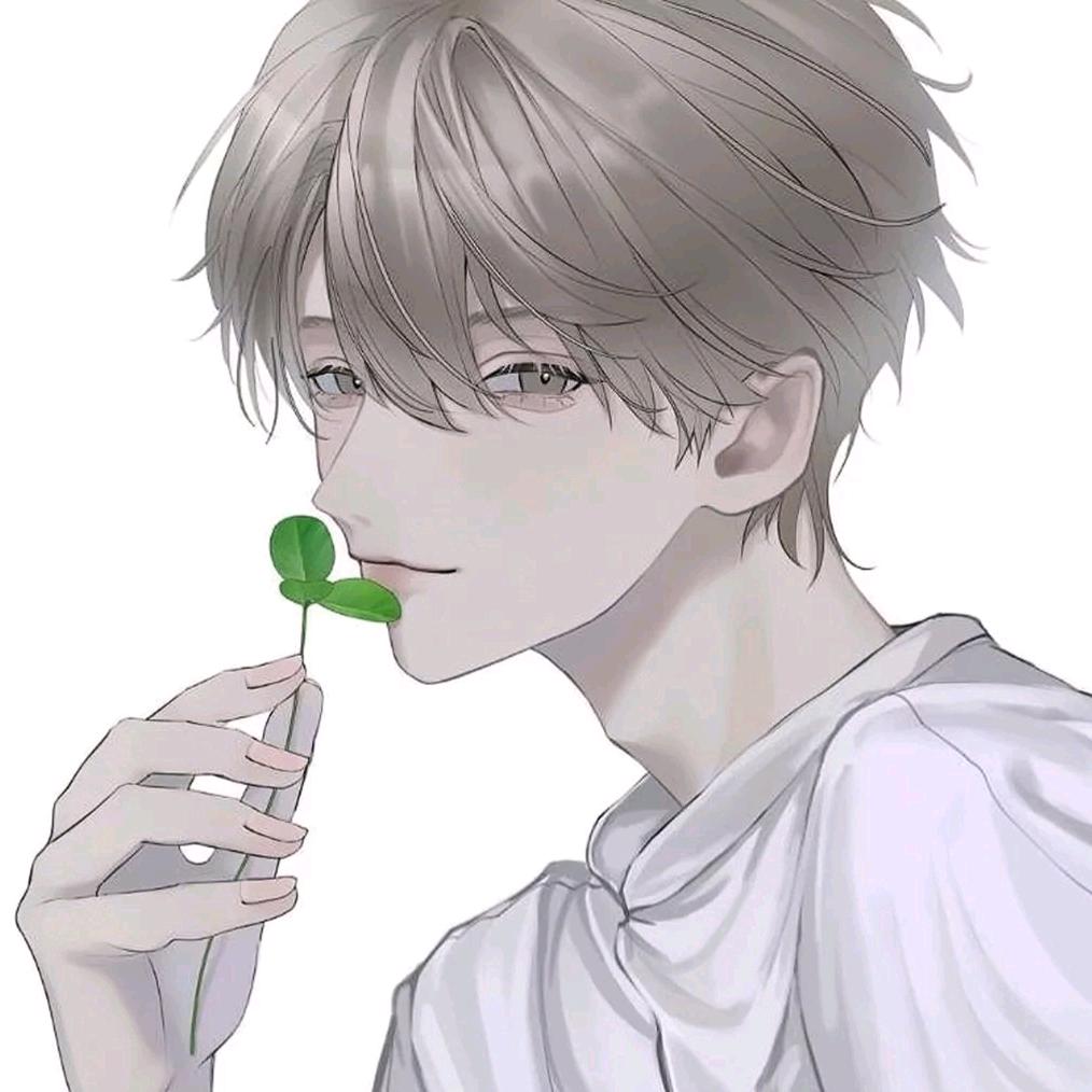 🍊 南枫