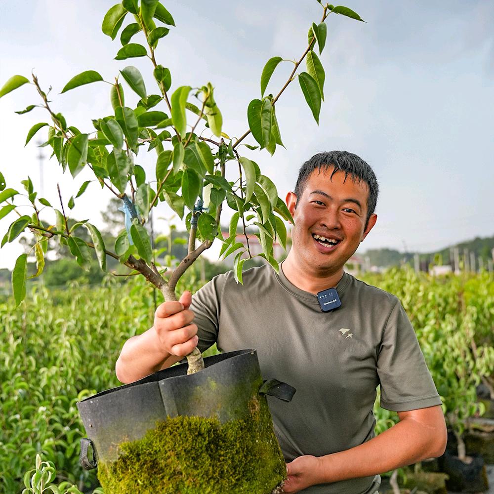 泥会种树果蔬苗木