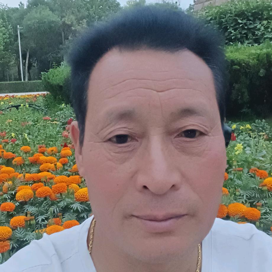 朱老大