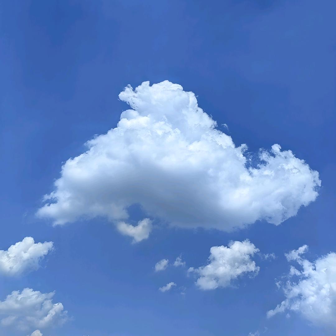 蒜米 黑蒜