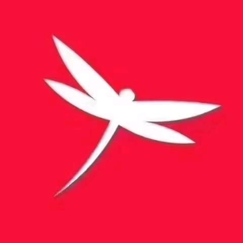 双牌县平阳路红蜻蜓