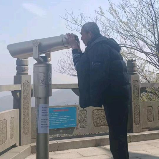 一网情深