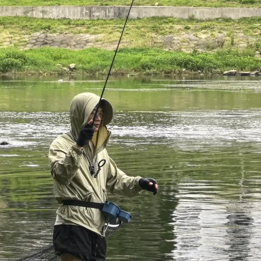 爱钓鱼的九制陳皮