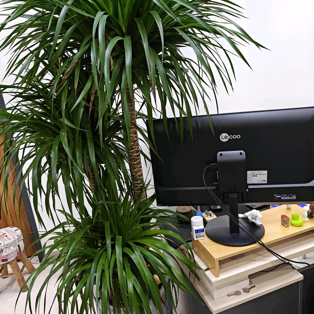 速学数学吴老师